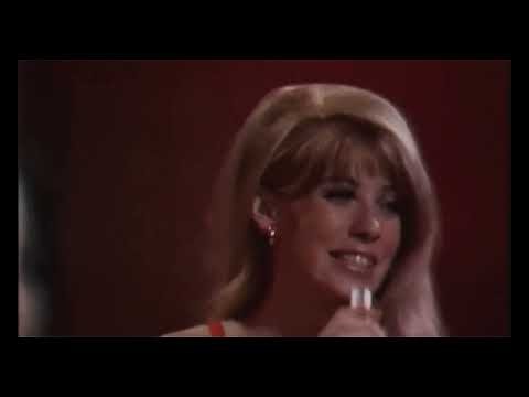Sergio Mendes & Brasil '66 The Look Of Love