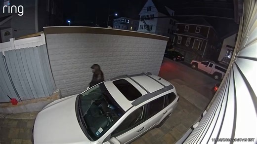 "Neighbors BEWARE!! Caught some scum bag snooping in the yard at 8:37pm last night. My dog was inside, losing his mind, and if I opened the door to let him investigate ....So you’re welcome for sparing your life, we won’t be so kind next time."- Kirsten Anne | New Bedford Guide