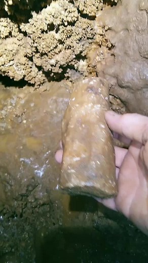 #stalactite #stalagmite #cave #caves #caving #cavetok #spelunking #cliffsandcaves #nature #explore #CorollaCrossStep