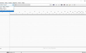IGV 2.1.6版 测序数据进行可视化 如何下载并安装 适合新手的