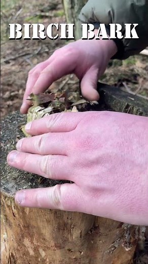 BEST WAY TO USE A FERRO ROD 🔥Ferro Rod vs Birch Bark🔥 #shorts #survival #bushcrafttools