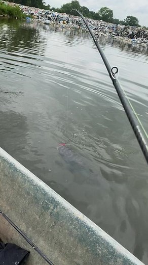 Mat casting 🎣🎣 (@mattcasting)’s videos with original sound - Mat casting 🎣🎣