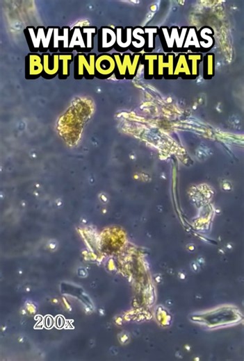 Dust under the microscope: Discover the invisible world