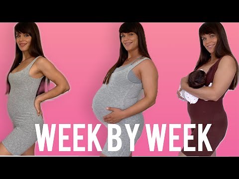 Pregnancy Transformation Week By Week | 9 Months In 60 seconds