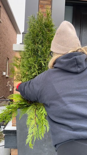 545K views · 3.2K reactions | Cedar trees are a great centerpiece bag can be used all season! Here’s a simple look to add to your centerpiece that will take you through the winter season! #fblifestyle #cedar #winter #winterdecor #winterdecorating #christmas #christmasdecor | the.wreath.coach | Facebook