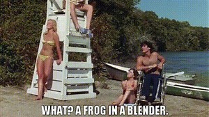 - What? - A frog in a blender.