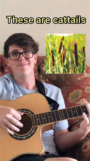 Jordan Keyes on Instagram: "Why you shouldn’t eat cattails! “Me Want Bite (Complete)”, a 9 1/2 minute song with EVERY Me Want verse streaming now everywhere with my new EP #foodie #comedy #musicalcomedy #science"