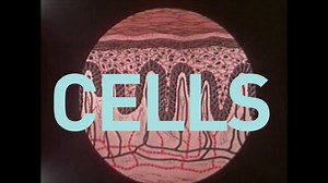 How UV Light Impacts DNA | Videos