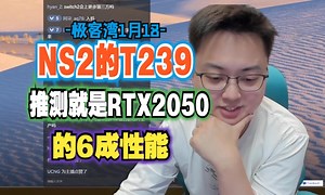 NS2的T239处理器-推测就是2050的6成性能-极客湾