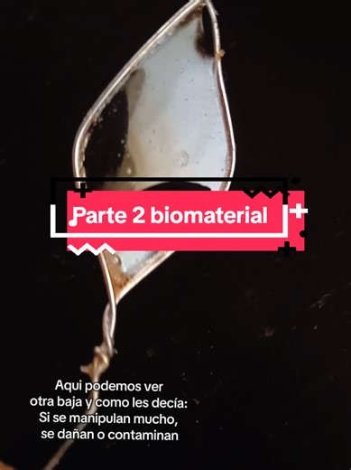Respuesta a @ricmanve Parte 2 biomaterial #findeañocontiktok #biomateriales #flop #fyp #paciencia