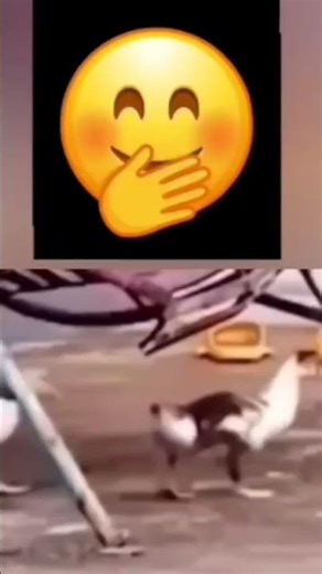 Best video funny moment 😂 #neko3 #short