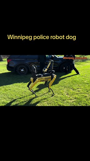 Introducing the Winnipeg Police Services Robot Dog