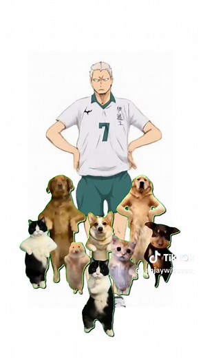 sip 😄👋 #haikyuu #fypシ