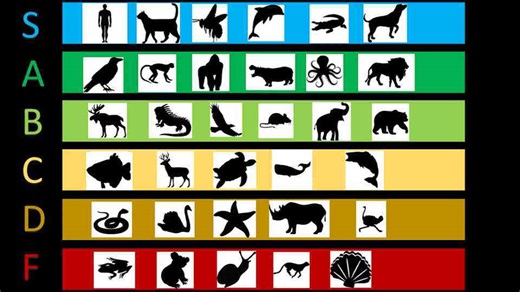 How TierZoo turns biology into a strategic breakdown