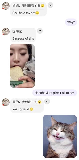 Find Your Perfect Language Partner on HelloTalk