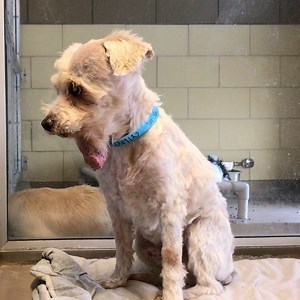 30K views · 371 reactions | RESCUED ✨ We don’t think we need to say...