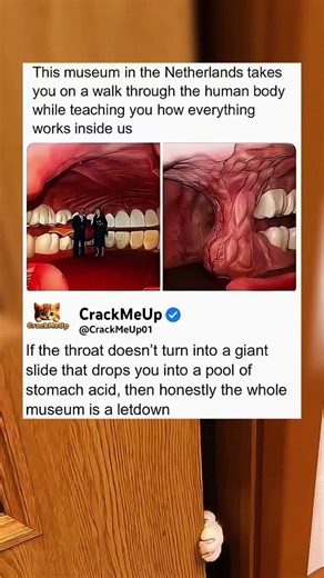 pov: you find the weirdest museum in the netherlands 💀 | funny memes | dank memes | viral memes