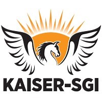Kaiser-SGI (Asia) Pte Ltd | LinkedIn