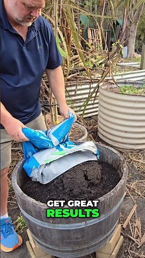 Unlock the Secrets of Container Gardening for Beginners!