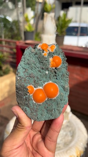 Intriguing self standing specimen of deep orange botryoidal Thomsonite, growing on Celadonite included green basalt base. From Madhya Pradesh, India | Superb Minerals