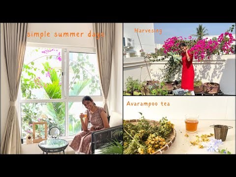 Slow Summer Day in My Kitchen & Garden | avarampoo tea like hammimommy🥹