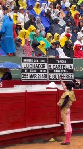 Sebastien Castella on Instagram: "A la afición taurina de Manizales y a Colombia entera: Gracias, de corazón. Lo vivido el pasado 11 de enero en la Plaza de Toros de Manizales quedará para siempre grabado en mi alma de torero. Fue una tarde de verdad, de entrega absoluta, de emoción compartida y de respeto profundo por una cultura que nos define. En tiempos complejos, en los que la tauromaquia se ve amenazada, vuestra presencia, vuestro apoyo y vuestro silencio lleno de emoción han sido un gesto