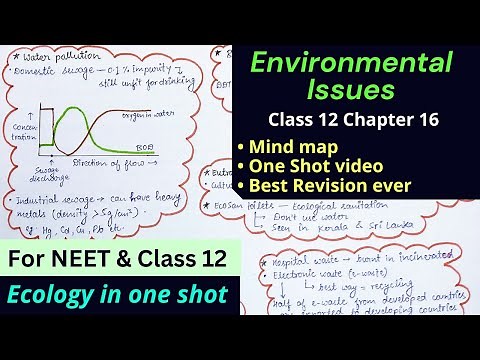 Environmental issues Mind map for NEET Class 12 Chapter 16 Best revision notes full NCERT Shortnotes