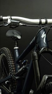 Fanatik Custom Bike: Specialized Status II 170