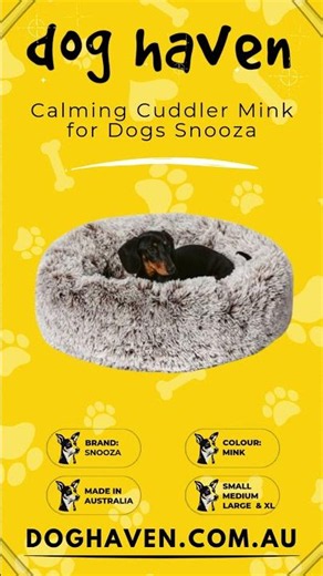 Dog Beds provide comfort and rest for your furry friend | doghaven.com.au