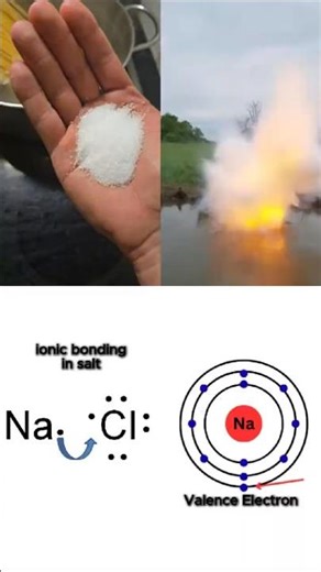 Sodium vs Salt (Same Element, Different Behavior)