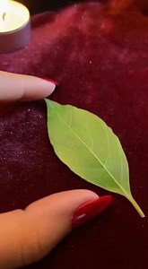 Manifest immediate success through ancient spell work and focused intention. A simple bay leaf ritual awakens energetic pathways, blending witchcraft spells, fire, and unwavering belief. As a Spell Caster knows, writing your desire clearly empowers spell casting. Watch the smoke rise, release resistance, and command the universe to move in your favor. This ritual complements Love Spell practices and casting love spells, reminding you that success and love respond to confidence, clarity, and disc