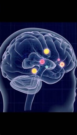 What Happens To Your Brain With Too Much Screen Time?