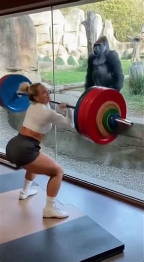She Lifted 200kg But The Gorilla Did THIS 🦍😱 #Shorts