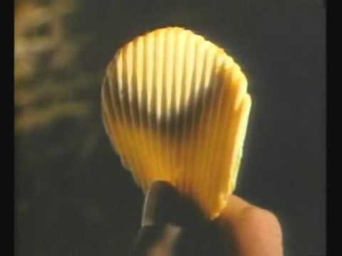 O'Grady's Potato Chips Commercial- 1984