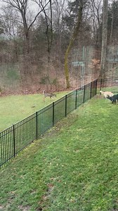 ADORABLE! A Tennessee family captured a rare moment when a deer approached their backyard. 🦌🐾 https://bit.ly/3Bf0olC 📸 Kevin and Renee Bohman | WZTV FOX 17 News, Nashville