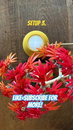 Rate my HomePod mini setup (comment your favorite)