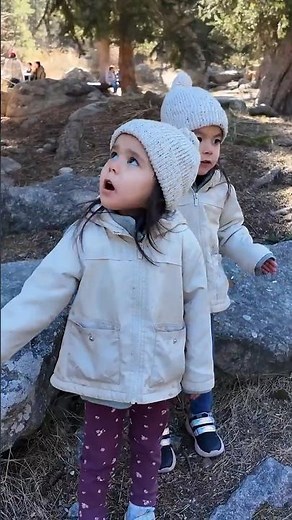 Fun Facts About Crow For Kids