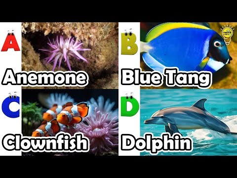 ABC phonics animals | ABC Sea Animals song | English and Animals for Kids | Alphabets Kids Song