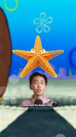 Bukannya Mati Malah Jadi Dua! Inilah yang Terjadi Jika Tubuh Bintang Laut Terbelah Menjadi 2