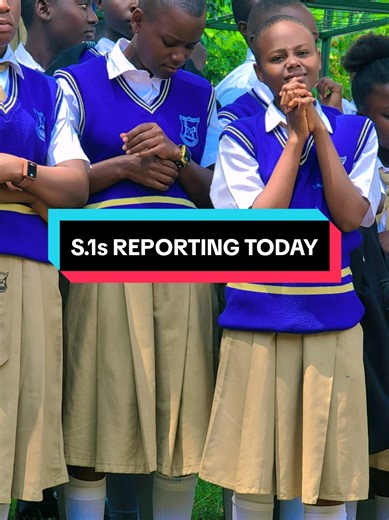 S.1s Reporting Today: Key Highlights and Insights