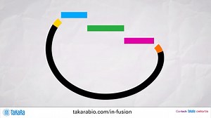 In-fusion Cloning（Takara）