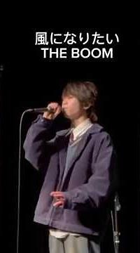 風になりたい/THE BOOM 2024年度ホールコンサート #ライブ #バンド #THEBOOM #風になりたい