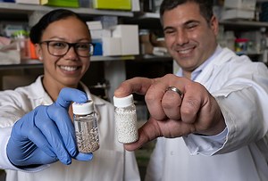 Rice lab’s ‘drug factory’ implants cleared for human trials