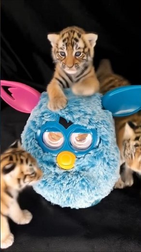 Furby VS baby Tiger 🐅 😍 #trend