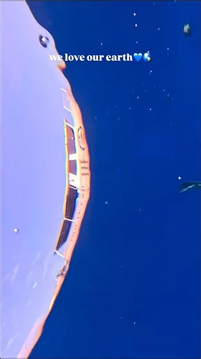 Dive into the wonders of the open ocean with One Ocean Diving! 🦈 But... - | Ocean Ramsey