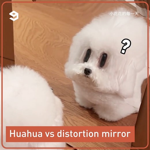 when will my reflection show who I'm inside? | 9GAG