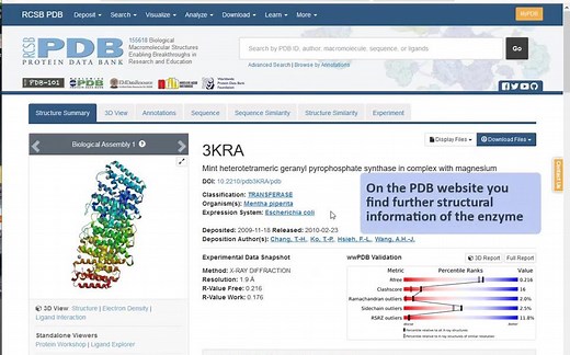 BRENDA 酶数据库 -- 3D 功能参数