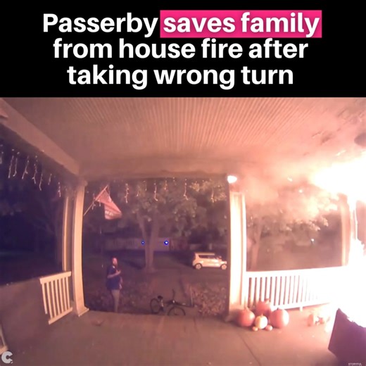 4.7K views · 61 reactions | A passerby who took the wrong turn saved...