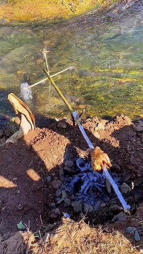Cooking Whole Chicken Over Open Fire by Riverbank