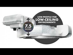 NXT LP | P.L. Light Systems